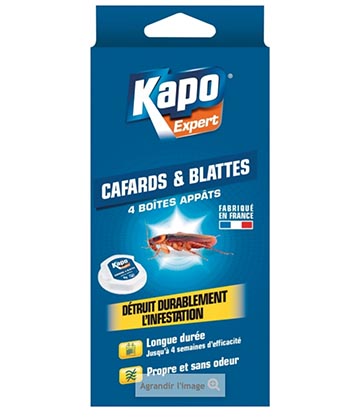 SERINGUE CAFARDS - BLATTES KAPO CHOC 10G