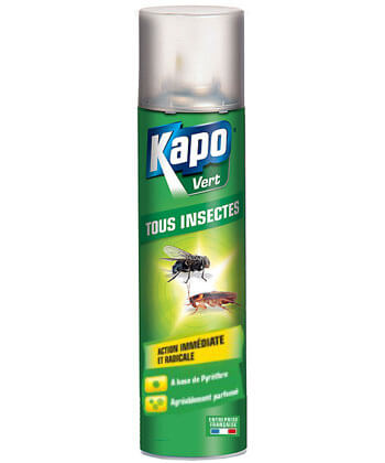 Aérosol Insecticide contre les insectes volants 750ml