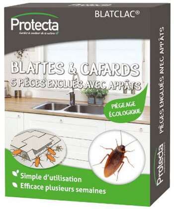 Pièges englués avec appât contre blattes et cafards Protecta - Les