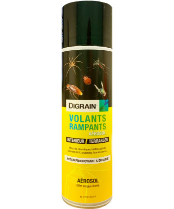 Aérosol Digrain Volant Rampants 500 ml - Anti cafards