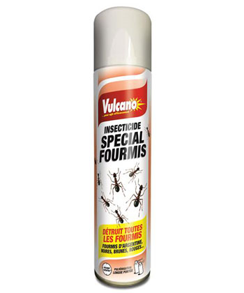 Traitement anti fourmi Digrain Poudre minérale anti-insectes à l'achat
